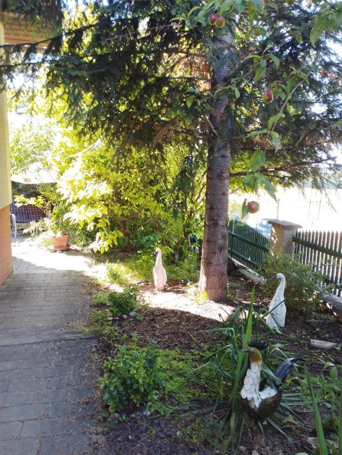 B&B Family Basement Apartment, Breakfast, Free Parking, 5Km From Tulln Chorherrn Exteriér fotografie