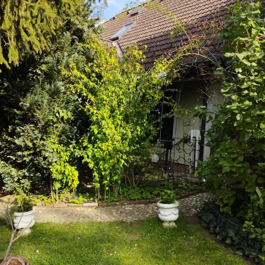 B&B Family Basement Apartment, Breakfast, Free Parking, 5Km From Tulln Chorherrn Exteriér fotografie