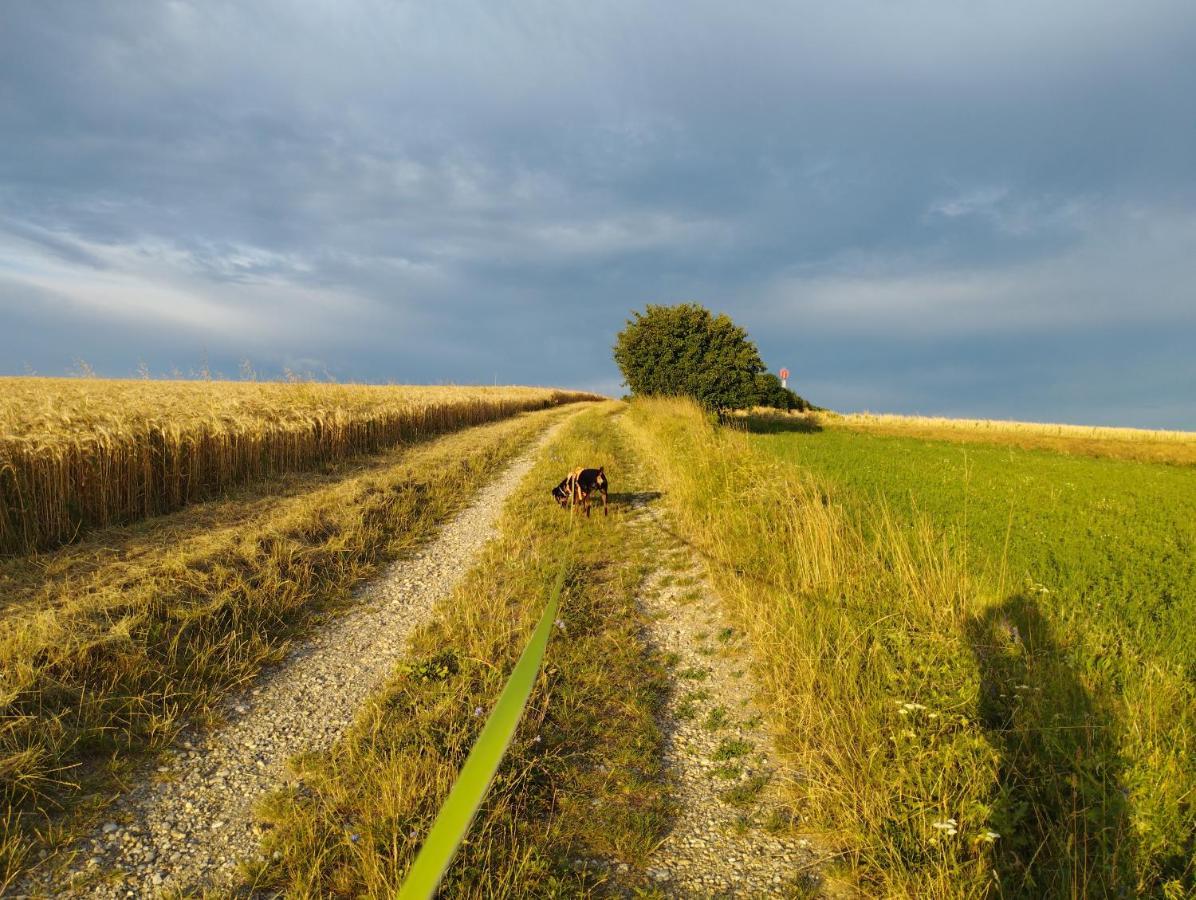 B&B Family Basement Apartment, Breakfast, Free Parking, 5Km From Tulln Chorherrn Exteriér fotografie